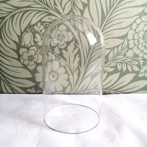 Vintage tall glass dome - 7",