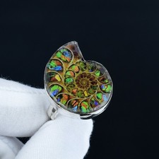 Rainbow Fire Ammonite /
