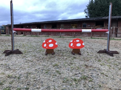 Toadstool show jump fillers - toadstool,