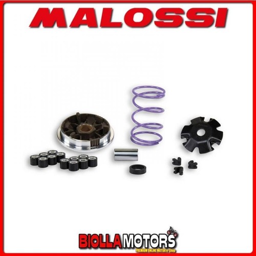 518648 variator malossi - 518648,