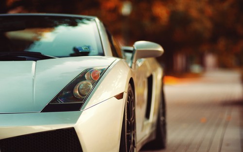 Lamborghini car white cars