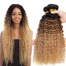 12A Human Hair Bundles Jerry Curly Wave Ombre Virgin Hair Extensions Weft Weavy
