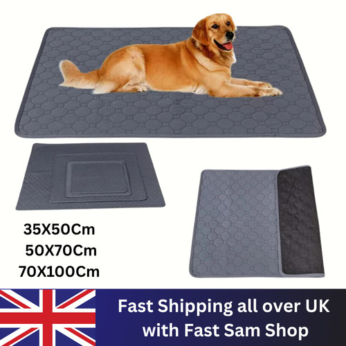 Washable large pet pee - pet,