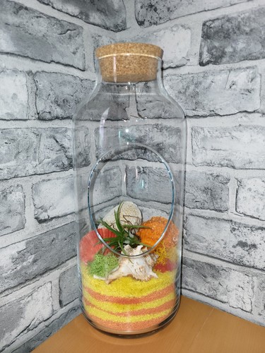 Coral reef themed live