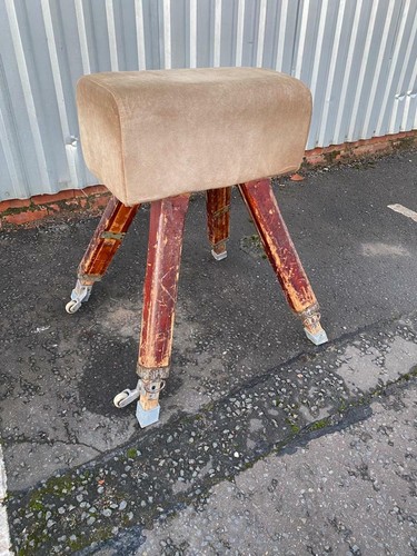 Vaulting horse buck - vaulting,