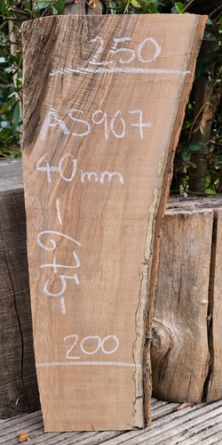 Live edge ash slab - edge,