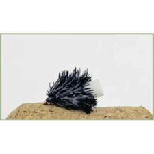 BLACK Foam Ass Blob Fishing Flies, 8 Pack, Size 10 , FAB, Trout Flies Blob flies