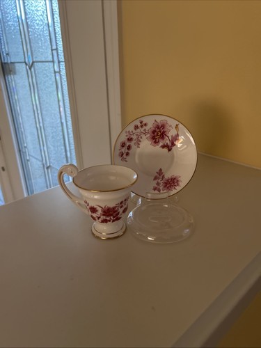 Sutherland englan cup and - cup,