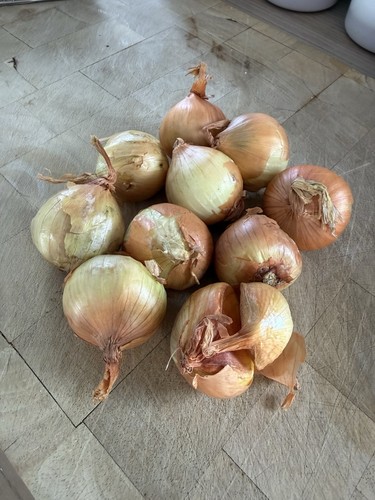 Yellow potato onions - potato,