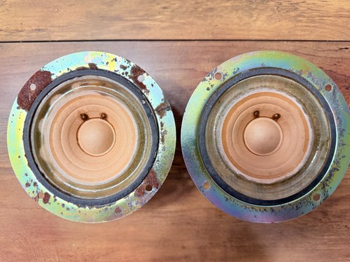 Pair coral holy basket alnico - pair,