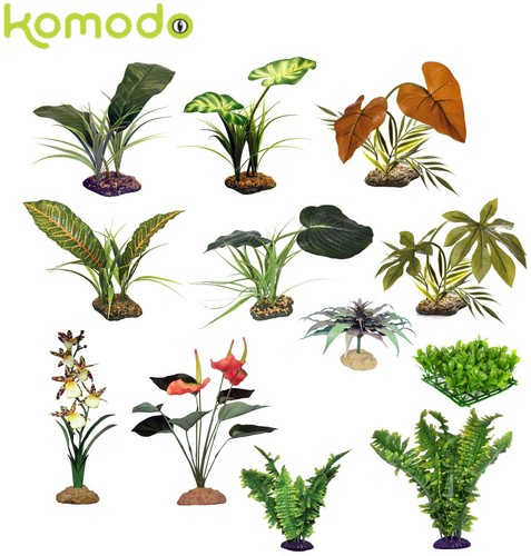 Komodo reptile plants canopy - komodo,
