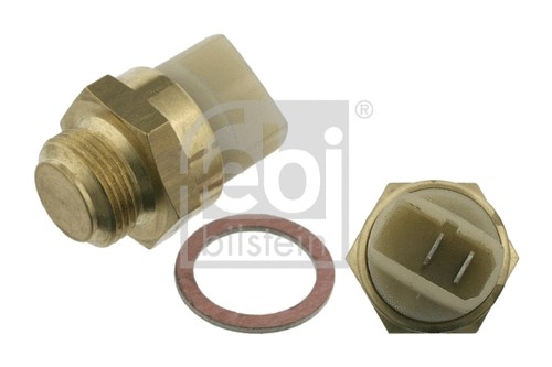 Temperature switch radiator - switch,