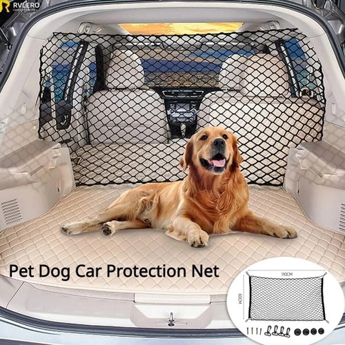 Pet dog car - pet,