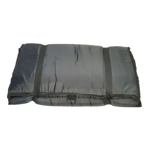 Carp fishing quick - quick, fish