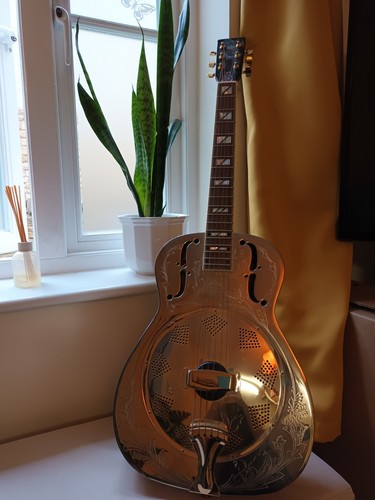Ozark 3515be resonator guitar - 3515be,