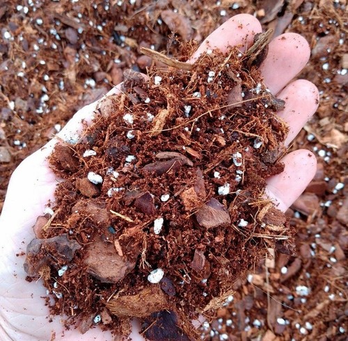 Monstera soil mix - soil,