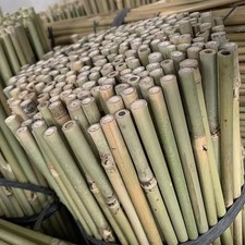 Bamboo Canes Garden Thick Support Plant Flower Strong Stick Cane Large Pole