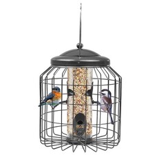 Squirrel Proof Hanging Bird
