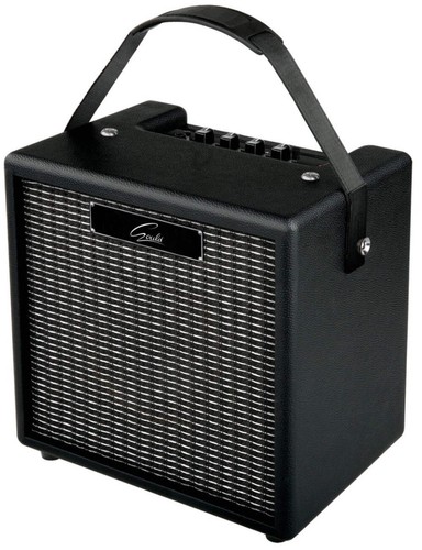 Gould 10w practice guitar - gould,