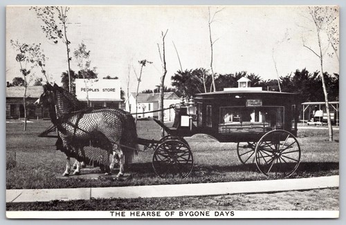 Horse drawn hearse - horse, pioneer