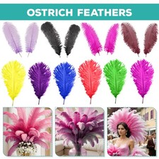 Large Ostrich Feathers For Wedding Party Costume Decoration 35-40cm 50-60cm