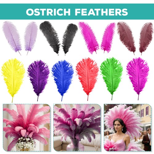 Large ostrich feathers for - ostrich,