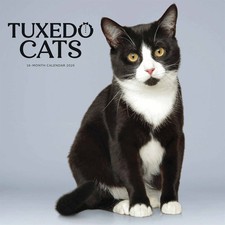 Tuxedo Cats Calendar 2026 -