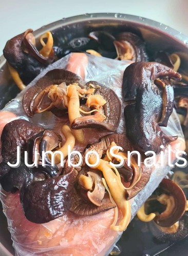 Frozen snails medium inch - snails,, 8-inch