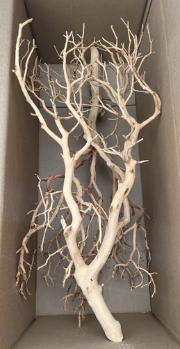 Set two tree - (2), aquarium