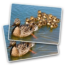 2x Vinyl Sticker Mallard Duck