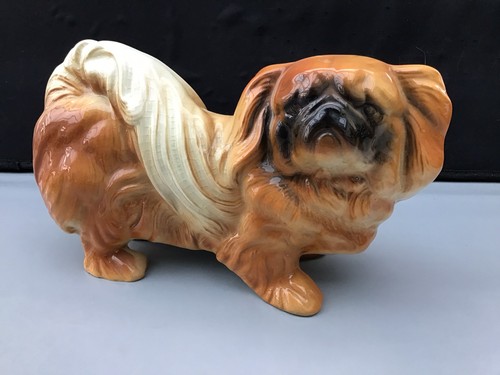 Large pekingese dog - ,