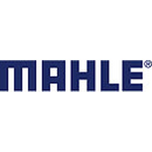 Mahle 029 10038 000 - mahle,