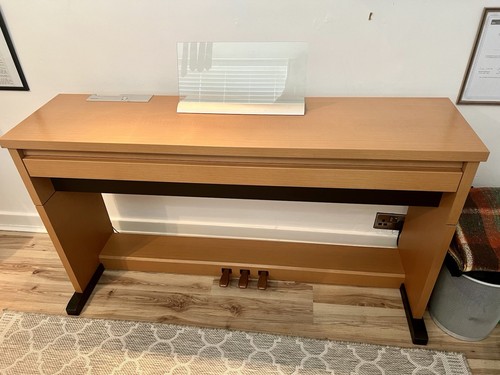 Panasonic np10 electric - panasonic,