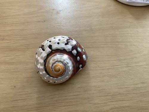 Snail pearly big - pearly, conch