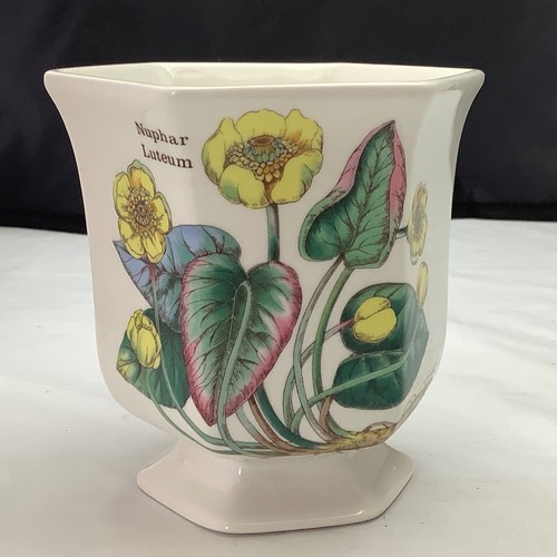 Florabunda vintage china plant - florabunda,