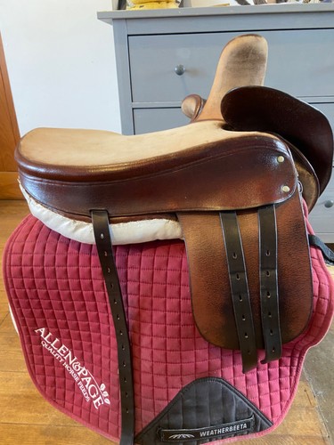 Side saddle meyhew rare adults - side,