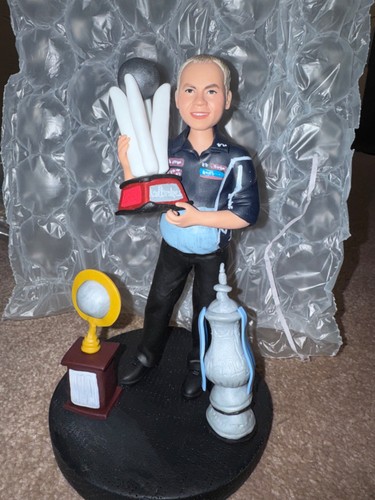 Pdc darts phil taylor custom - darts,