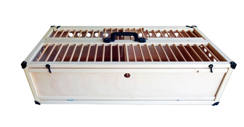 Racing pigeon transport - pigeon,