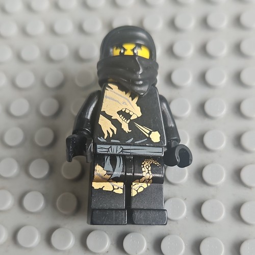 Lego ninjago cole - dx, 2011