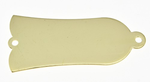 Metal guitar blank holes - guitar,