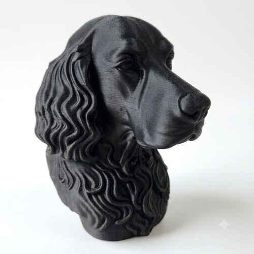Gordon setter dog - bust, home