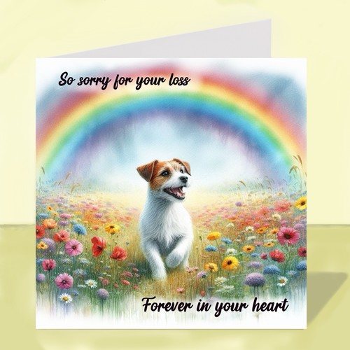 Jack russell terrier dog - terrier,