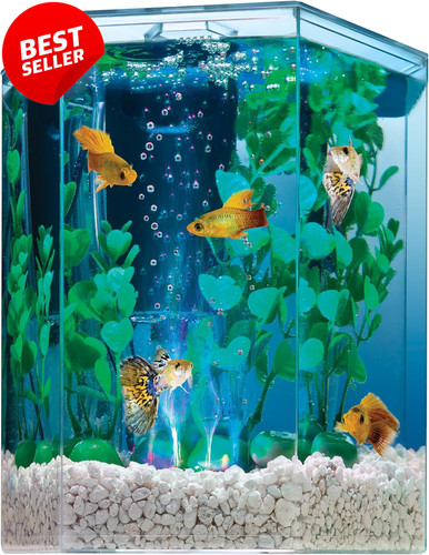 Gallon led aquarium kit - aquarium,