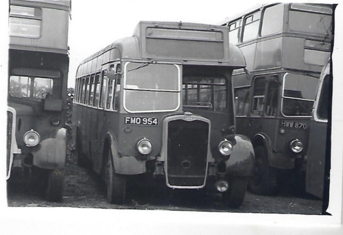 Bus photo fmo954 - bus, ex