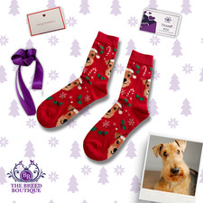 AIREDALE TERRIER CHRISTMAS SOCKS – RED FESTIVE DOG GIFT UK 5–11 US 6–12 EU 38–46