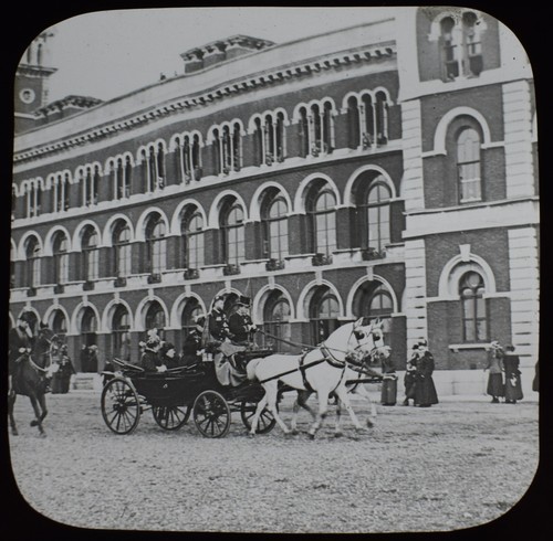 Queen victoria horse - victoria, a