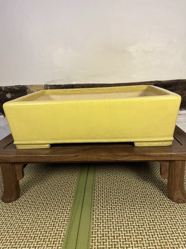 Aiba koyo bonsai pot yellow - aiba,
