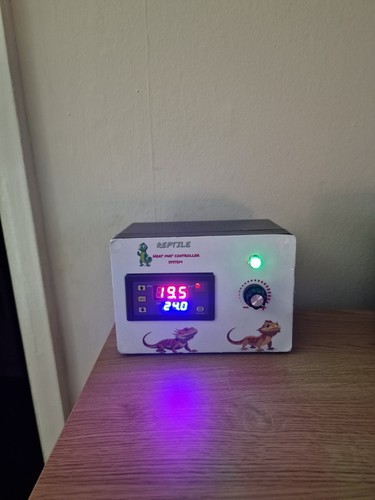 Reptile digital thermostat - digital,