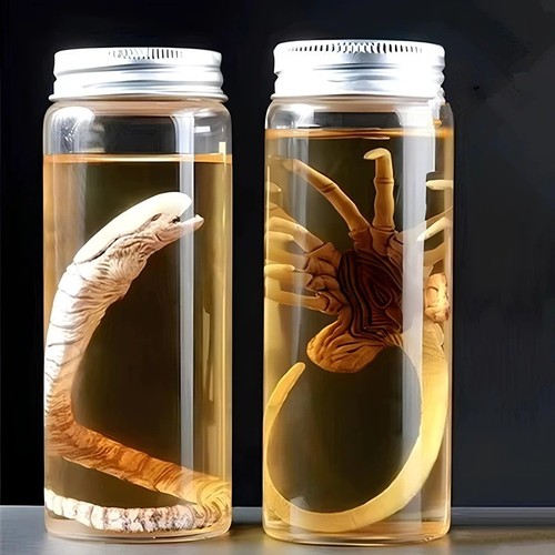 Alien xenomorph facehugger - xenomorph,