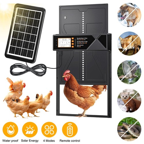Automatic chicken coop door - coop,